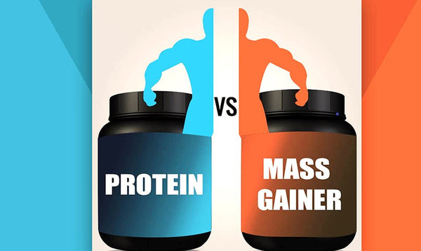 Should You Choose Whey Protein or Mass Gainer?