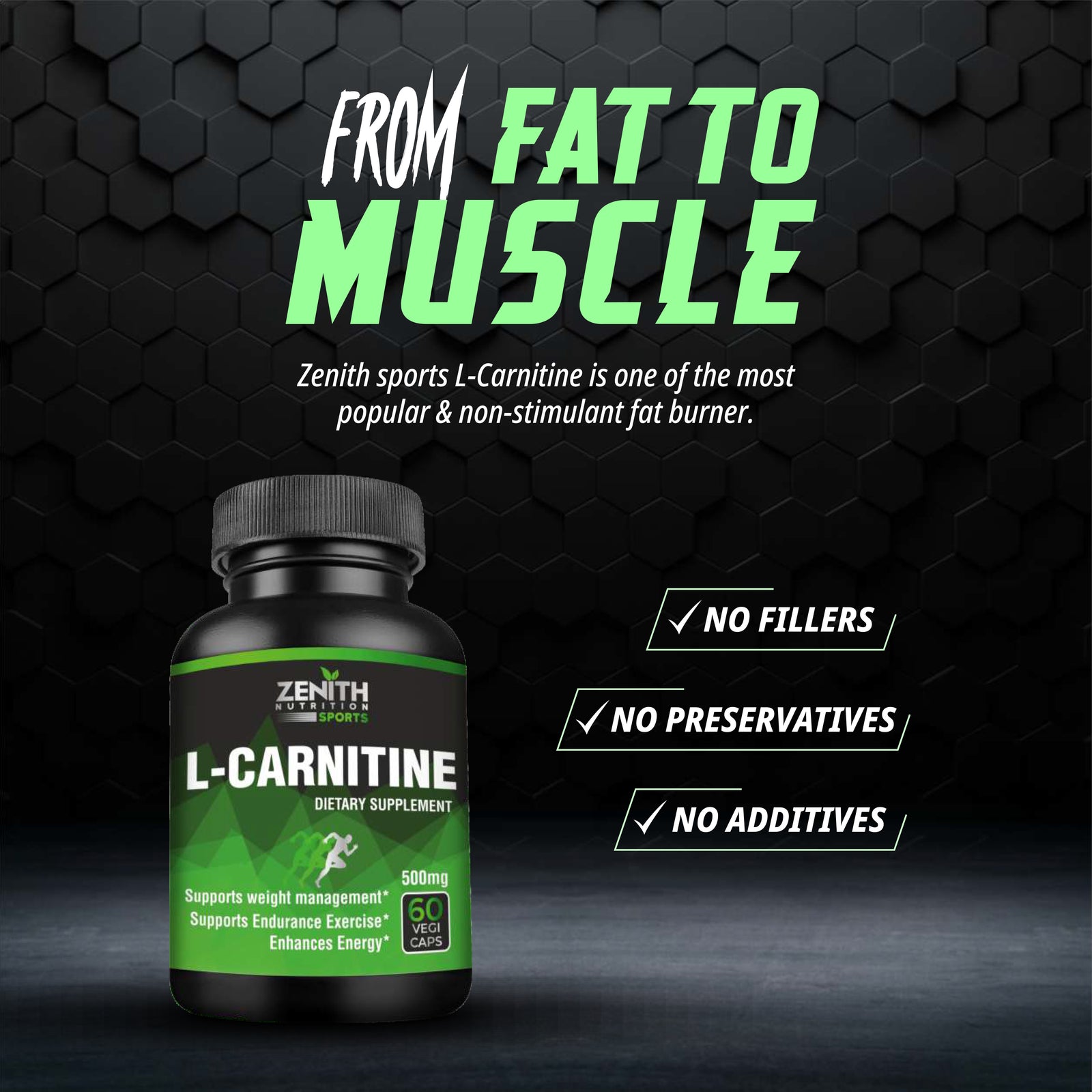 precio de la l-carnitina Amazon.com: L-carnitina, 120 tabletas, porciones de 0,035 oz con aminoácido  carnitina, por BioScience Nutrition : Salud y Hogar