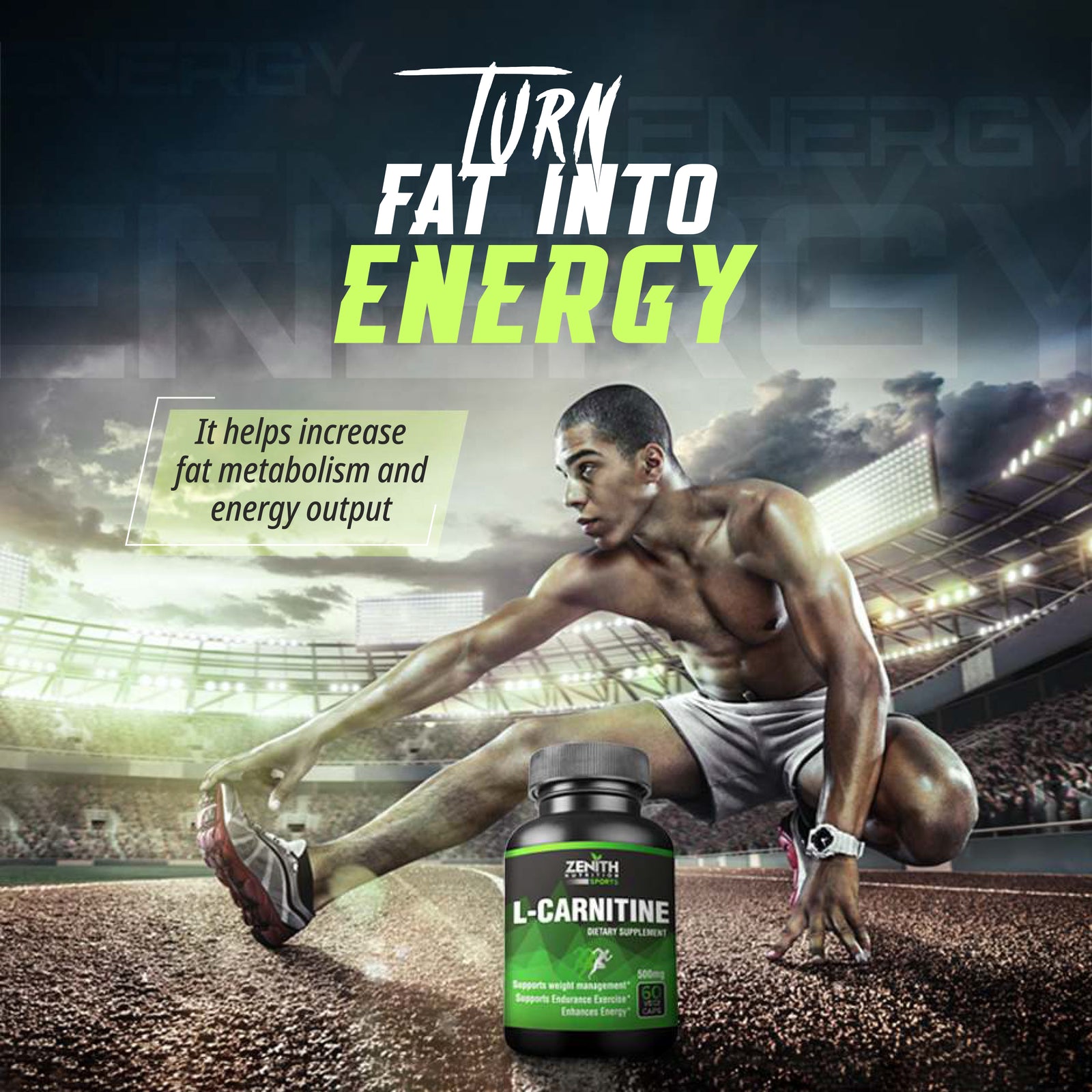 L-Carnitine for building Muscle Mass